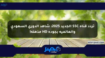 تردد قناة SSC الجديد 2025: شاهد الدوري السعودي والعالمية بجودة HD مذهلة!